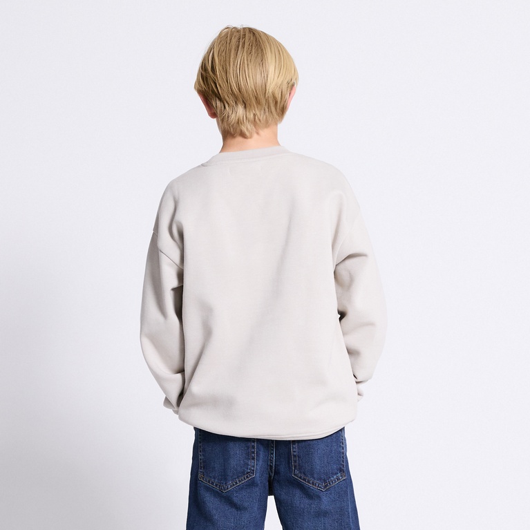 Printed Sweatshirt "Vilgot" Beige 3
